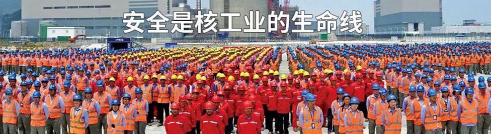 共建网络家园